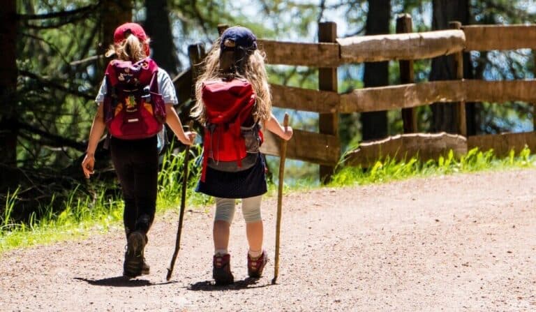 Cane Vs Walking Stick: Which Is Best For Your Lifestyle?